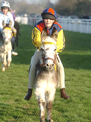 Donkey Derbies from Dunton Stables