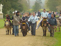 Dunton Stables Donkey Rides