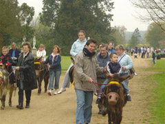 Donkey Rides at Dunton Stables