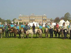 Donkey Rides offered by Dunton Stables