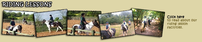 Find out about riding lessons