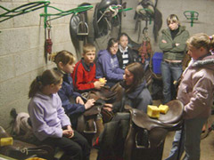 Pony & stables management courses