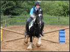 Meet the Horses Picture of Splodge