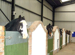 the stables