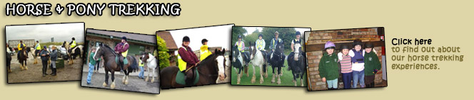 Read about trekking